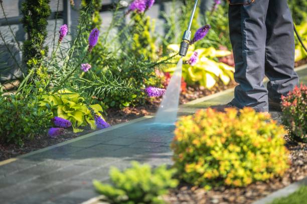 Best Boat and Dock Cleaning  in Hauppauge, NY