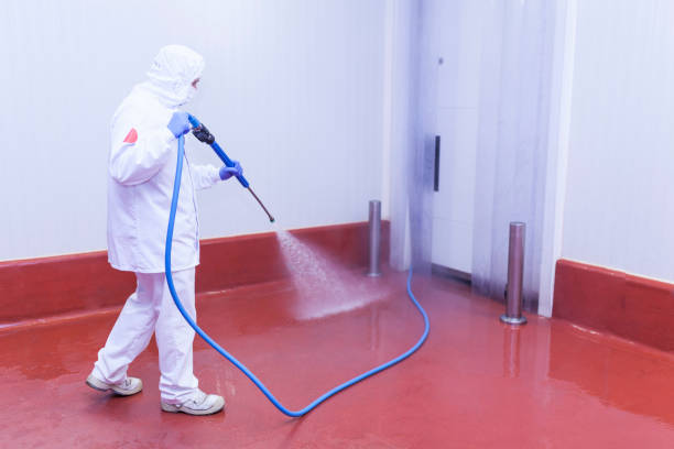 Best Patio and Deck Pressure Washing  in Hauppauge, NY