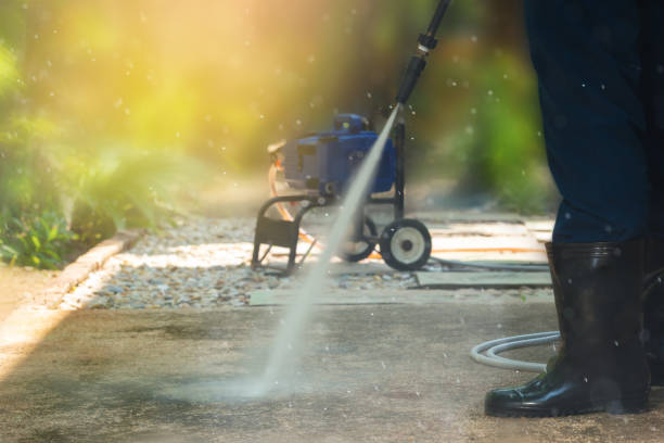 Best Animal Enclosure Cleaning  in Hauppauge, NY